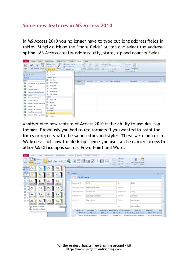 ms access themes