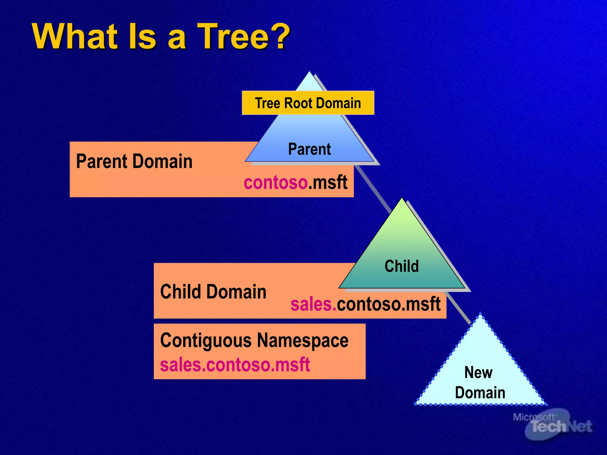 What Is a Tree?
Parent Domain
Child Domain
Contiguous Namespace
sales.contoso.msft
Parent
Child
New
Domain
Tree Root Domain
contoso.msft
sales.contoso.msft
 