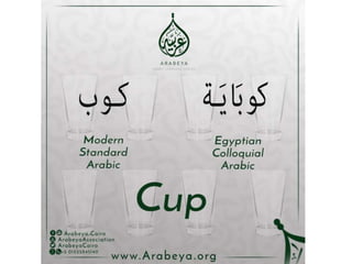 Difference between Modern Standard Arabic & Egyptian colloquial Arabic