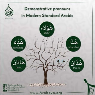 09 Quick Arabic Grammar Lessons