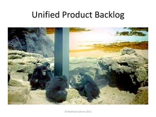 Unified Product Backlog




        © Matthew Salerno 2012
 