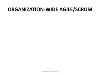 ORGANIZATION-WIDE AGILE/SCRUM




           © Matthew Salerno 2012
 