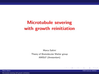 .....
.
....
.
....
.
.....
.
....
.
....
.
....
.
.....
.
....
.
....
.
....
.
.....
.
....
.
....
.
....
.
.....
.
....
.
.....
.
....
.
....
.
Microtubule severing
with growth reinitiation
Marco Saltini
Theory of Biomolecular Matter group
AMOLF (Amsterdam)
Marco Saltini FOM Institute AMOLF
Microtubule severing with growth reinitiation
 