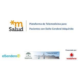 Plataforma de Telemedicina para
Pacientes con Daño Cerebral Adquirido




                              Financiado por:
 