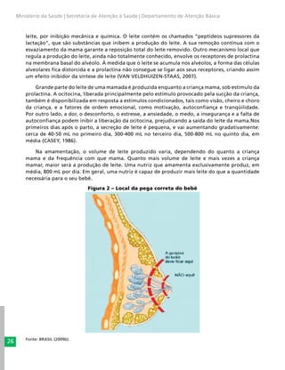 26
Ministério da Saúde | Secretaria de Atenção à Saúde | Departamento de Atenção Básica
leite, por inibição mecânica e química. O leite contém os chamados “peptídeos supressores da
lactação”, que são substâncias que inibem a produção do leite. A sua remoção contínua com o
esvaziamento da mama garante a reposição total do leite removido. Outro mecanismo local que
regula a produção do leite, ainda não totalmente conhecido, envolve os receptores de prolactina
na membrana basal do alvéolo. À medida que o leite se acumula nos alvéolos, a forma das células
alveolares fica distorcida e a prolactina não consegue se ligar aos seus receptores, criando assim
um efeito inibidor da síntese de leite (VAN VELDHUIZEN-STAAS, 2007).
Grande parte do leite de uma mamada é produzida enquanto a criança mama, sob estímulo da
prolactina. A ocitocina, liberada principalmente pelo estímulo provocado pela sucção da criança,
também é disponibilizada em resposta a estímulos condicionados, tais como visão, cheiro e choro
da criança, e a fatores de ordem emocional, como motivação, autoconfiança e tranqüilidade.
Por outro lado, a dor, o desconforto, o estresse, a ansiedade, o medo, a insegurança e a falta de
autoconfiança podem inibir a liberação da ocitocina, prejudicando a saída do leite da mama.Nos
primeiros dias após o parto, a secreção de leite é pequena, e vai aumentando gradativamente:
cerca de 40-50 mL no primeiro dia, 300-400 mL no terceiro dia, 500-800 mL no quinto dia, em
média (CASEY, 1986).
Na amamentação, o volume de leite produzido varia, dependendo do quanto a criança
mama e da frequência com que mama. Quanto mais volume de leite e mais vezes a criança
mamar, maior será a produção de leite. Uma nutriz que amamenta exclusivamente produz, em
média, 800 mL por dia. Em geral, uma nutriz é capaz de produzir mais leite do que a quantidade
necessária para o seu bebê.
Figura 2 – Local da pega correta do bebê
Fonte: BRASIL (2009b).
 