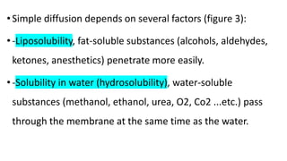 •Simple diffusion depends on several factors (figure 3):
•-Liposolubility, fat-soluble substances (alcohols, aldehydes,
ketones, anesthetics) penetrate more easily.
•-Solubility in water (hydrosolubility), water-soluble
substances (methanol, ethanol, urea, O2, Co2 ...etc.) pass
through the membrane at the same time as the water.
 