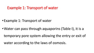Example 1: Transport of water
•Example 1: Transport of water
•Water can pass through aquaporins (Table I), it is a
temporary pore system allowing the entry or exit of
water according to the laws of osmosis.
 