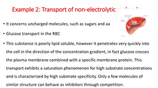 Example 2: Transport of non-electrolytic molecules
• It concerns uncharged molecules, such as sugars and aa
• Glucose transport in the RBC
• This substance is poorly lipid soluble, however it penetrates very quickly into
the cell in the direction of the concentration gradient, in fact glucose crosses
the plasma membrane combined with a specific membrane protein. This
transport exhibits a saturation phenomenon for high substrate concentrations
and is characterized by high substrate specificity. Only a few molecules of
similar structure can behave as inhibitors through competition.
 
