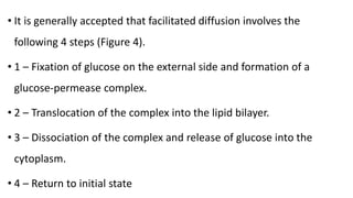• It is generally accepted that facilitated diffusion involves the
following 4 steps (Figure 4).
• 1 – Fixation of glucose on the external side and formation of a
glucose-permease complex.
• 2 – Translocation of the complex into the lipid bilayer.
• 3 – Dissociation of the complex and release of glucose into the
cytoplasm.
• 4 – Return to initial state
 