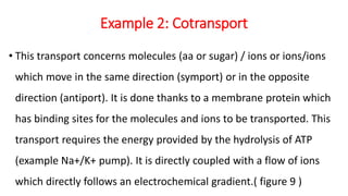 Example 2: Cotransport
• This transport concerns molecules (aa or sugar) / ions or ions/ions
which move in the same direction (symport) or in the opposite
direction (antiport). It is done thanks to a membrane protein which
has binding sites for the molecules and ions to be transported. This
transport requires the energy provided by the hydrolysis of ATP
(example Na+/K+ pump). It is directly coupled with a flow of ions
which directly follows an electrochemical gradient.( figure 9 )
 