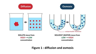 Figure 1 : diffusion and osmosis
 