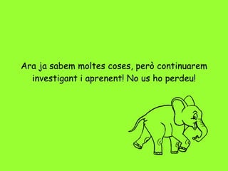 Ara ja sabem moltes coses, però continuarem investigant i aprenent! No us ho perdeu! 
