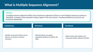 Comprehensive Guide to Multiple Sequence Alignment in Bioinformatics | PPTX