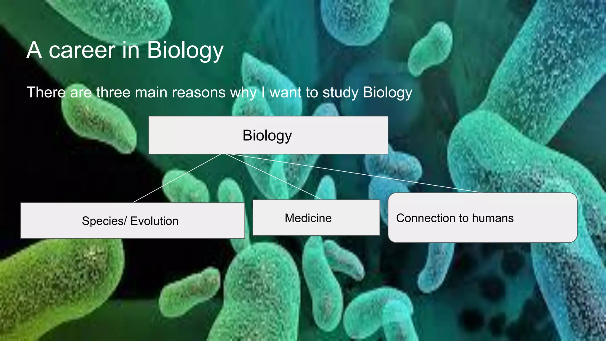 A career in Biology
There are three main reasons why I want to study Biology
Biology
Species/ Evolution Medicine Connection to humans
 