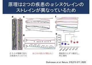 原理は２つの疾患のαシヌクレインの
ストレインが異なっているため
Shahnawaz et al. Nature. 578:273-277, 2020
 