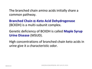 Msb 206. amino acid catab and fates of cs.2014