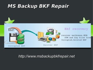 MS Backup BKF Repair




   http://www.msbackupbkfrepair.net
 