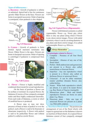 MSB Class 11 Biology-Ch9.pdf for NEET and State | PDF