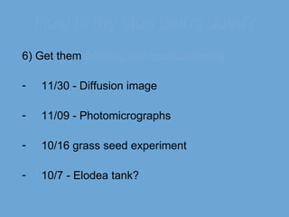How is my blog being used? 6) Get them  thinking and communicating. 11/30 - Diffusion image 11/09 - Photomicrographs 10/16 grass seed experiment 10/7 - Elodea tank? 