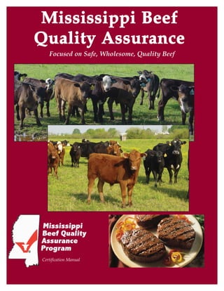 Focused on Safe, Wholesome, Quality Beef
MMiissssiissssiippppii BBeeeeff
QQuuaalliittyy AAssssuurraannccee
Certification Manual
 