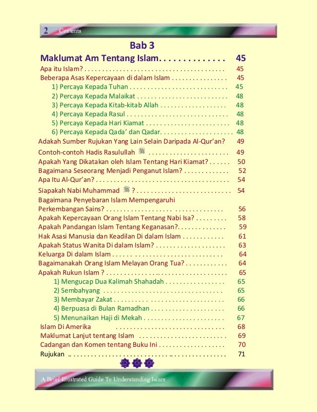 Ms brief illustrated guide to understanding islam