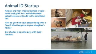Natural and man-made disasters create
havoc and grief. Lost and abandoned
pets/livestock only add to the emotional
toll.
How do you find your beloved dog after a
flood? What happens to your daughter’s
horse?
Our charter is to unite pets with their
families.
Animal ID Startup
 