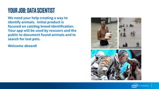 We need your help creating a way to
identify animals. Initial product is
focused on cat/dog breed identification.
Your app will be used by rescuers and the
public to document found animals and to
search for lost pets.
Welcome aboard!
YourJob:DataScientist
 