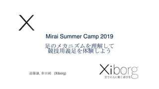 Mirai Summer Camp 2019
, (Xiborg)
 