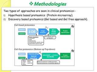 Methodologies
Two types of approaches are seen in clinical proteomics:-
1) Hypothesis based proteomics (Protein microarray).
2) Discovery based proteomics (Gel based and Gel free approach).
 