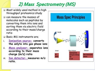2) Mass Spectrometry (MS)
 Most widely used method in high
throughput proteomics study
 can measure the masses of
molecules such as peptides by
converting them into ions and
sorting them via electric field
according to their mass/charge
ratio
 Basic MS instruments are;
i. Ionization source- converts
the anlyte into gas phase ions
ii. Mass analyzer- separates ions
according to their mass
charge (m/z) ratio
iii. Ion detector- measures m/z
ratio.
 