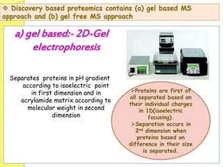  Discovery based proteomics contains (a) gel based MS
approach and (b) gel free MS approach
a) gel based:- 2D-Gel
electrophoresis
Separates proteins in pH gradient
according to isoelectric point
in first dimension and in
acrylamide matrix according to
molecular weight in second
dimension
Proteins are first of
all separated based on
their individual charges
in 1D(isoelectric
focusing).
Separation occurs in
2nd dimension when
proteins based on
difference in their size
is separated.
 