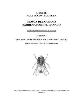 MANUAL
PARA EL CONTROL DE LA

MOSCA DEL GUSANO
BARRENADOR DEL GANADO
Cochliomyia hominivorax (Coquerel)
VOLUMEN 2
GUIA PARA LA IDENTIFICACION DE LAS MOSCAS DEL GENERO
COCHLIOMYIA (DIPTERA: CALLIPHORIDAE)

ORGANIZACION DE LAS NACIONES UNIDAS PARA LA AGRICULTURA Y LA ALIMENTACION
Roma, 1993

 