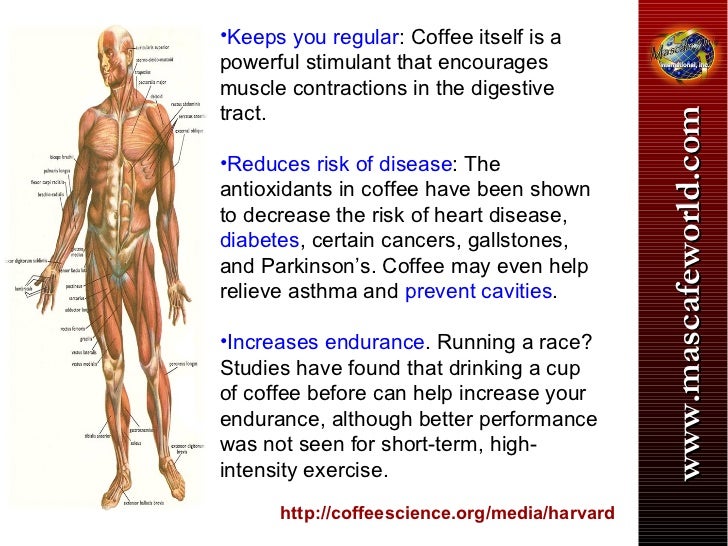 Mascafe 9 in 1 Your Complete Healthy Coffee