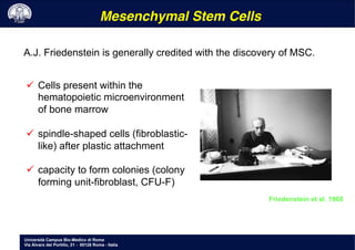 Università Campus Bio-Medico di Roma
Via Álvaro del Portillo, 21 - 00128 Roma - Italia
Friedenstein et al. 1968
A.J. Friedenstein is generally credited with the discovery of MSC.
Mesenchymal Stem Cells!
ü  Cells present within the
hematopoietic microenvironment
of bone marrow
ü  spindle-shaped cells (fibroblastic-
like) after plastic attachment
ü  capacity to form colonies (colony
forming unit-fibroblast, CFU-F)
 