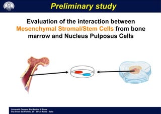 Università Campus Bio-Medico di Roma
Via Álvaro del Portillo, 21 - 00128 Roma - Italia
Preliminary study
Evaluation of the interaction between
Mesenchymal Stromal/Stem Cells from bone
marrow and Nucleus Pulposus Cells
 
