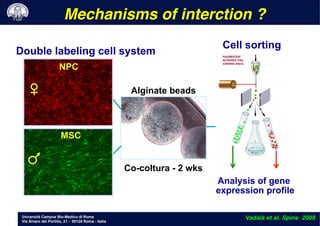 Università Campus Bio-Medico di Roma
Via Álvaro del Portillo, 21 - 00128 Roma - Italia
Mechanisms of interction ?!
Vadalà et al. Spine 2008
MSC
NPC
Co-coltura - 2 wks
Cell sorting
Analysis of gene
expression profile
Double labeling cell system
Alginate beads
 