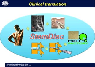 Università Campus Bio-Medico di Roma
Via Álvaro del Portillo, 21 - 00128 Roma - Italia
Clinical translation
 