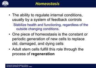 Università Campus Bio-Medico di Roma
Via Álvaro del Portillo, 21 - 00128 Roma - Italia
Homeostasis	
 	
 
•  The ability to regulate internal conditions,
usually by a system of feedback controls
Stabilize health and functioning, regardless of the
outside changing conditions.
•  One piece of homeostasis is the constant or
periodic generation of new cells to replace
old, damaged, and dying cells
•  Adult stem cells fulfill this role through the
process of regeneration
 