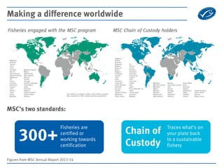 Making a difference worldwide 
MSC’s two standards: 
300+ 
Fisheries are certified or working towards certification 
Chain...