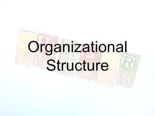 Organizational Structure 