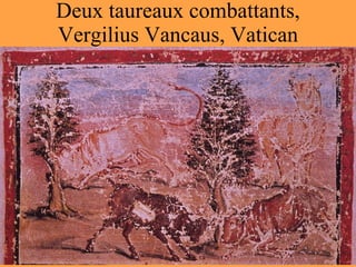 Deux taureaux combattants, Vergilius Vancaus, Vatican 