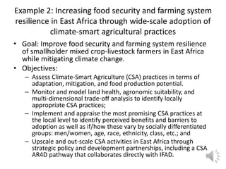 Lecture: Gender, Agriculture and Climate Change, Jennifer Twyman, CIAT