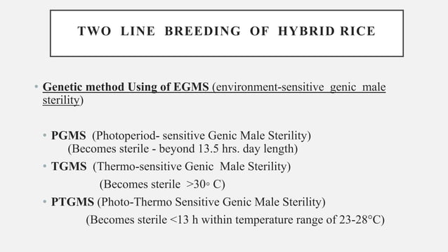 STATUS OF HYBRID RICE BREEDING IN INDIA & ABROAD | PPTX