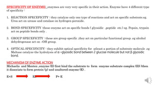 SPECIFICITY OF ENZYME: enzymes are very very specific in their action. Enzyme have 4 different type
of specificity :
1. REACTION SPECEFICITY : they catalyze only one type of reactions and act on specific substrate.eg.
Urea act on urease and catalase on hydrogen peroxide.
2. BOND SPECEFICITY :these enzyme act on specific bonds ( glyosidic ,peptide etc.) eg. Pepsin, trypsin
act on peptide bonds only .
3. GROUP SPECEFICITY : these are group specific ,they act on particular functional group .eg alcohol
dehydrogenase act on –OH group.
4. OPTICAL SPECIFICITY : they exhibit optical specificity for atleast a portion of substrate molecule .eg
Maltase catalyze the hydrolysis of α –glyosidic bond between 2 glucose molecule but not β glyosidic
bond.
MECHANISM OF ENZYME ACTION
Michaelis and Menten ,enzyme (E) first bind the substrate to form enzyme substrate complex (ES )then
it dissociate to form protein (p) and unaltered enzyme (E) .
E+S ES P+ E
 