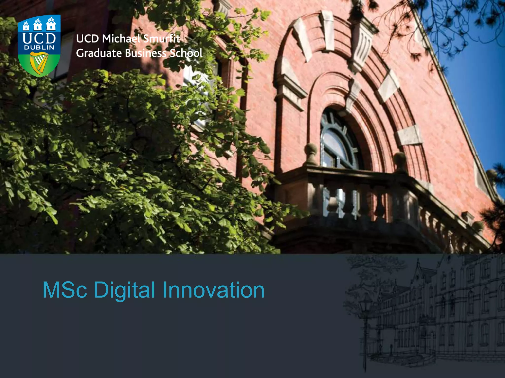 MSc Digital Innovation Introduction and Orientation 2017 PPT