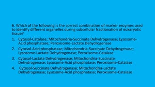 6. Which of the following is the correct combination of marker enzymes used
to identify different organelles during subcellular fractionation of eukaryotic
tissue?
1. Cytosol-Catalase; Mitochondria-Succinate Dehydrogenase; Lysosome-
Acid phosphatase; Peroxisome-Lactate Dehydrogenase
2. Cytosol-Acid phosphatase; Mitochondria-Succinate Dehydrogenase;
Lysosome-Lactate Dehydrogenase; Peroxisome-Catalase
3. Cytosol-Lactate Dehydrogenase; Mitochondria-Succinate
Dehydrogenase; Lysosome-Acid phosphatase; Peroxisome-Catalase
4. Cytosol-Succinate Dehydrogenase; Mitochondria-Lactate
Dehydrogenase; Lysosome-Acid phosphatase; Peroxisome-Catalase
 