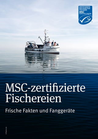 MSC-zertifizierte
Fischereien
Frische Fakten und Fanggeräte
©ffpeters.de
 