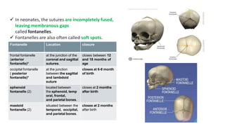 MSCIII_Forensic anthropology_Personal Identification.pptx