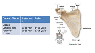 MSCIII_Forensic anthropology_Personal Identification.pptx