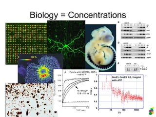 Biology = Concentrations
 